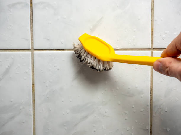 Professional Mold Removal in Mountain Home, AR
